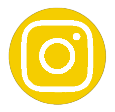 Logotipo de Instagram de pie de pagina -ExportSet